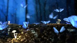 Beautiful